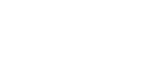 Bizness